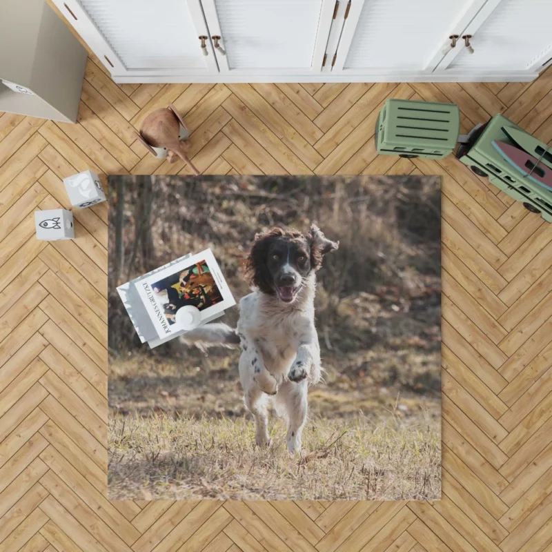 French Spaniel in Captivating Movement Rug