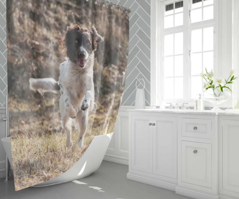 French Spaniel in Captivating Movement Shower Curtain 1