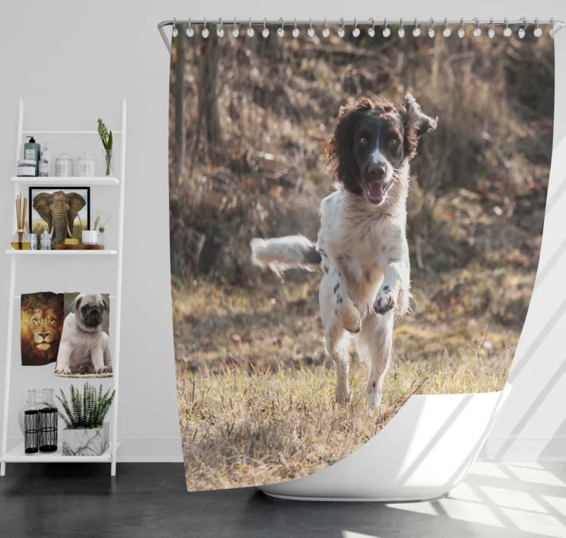 French Spaniel in Captivating Movement Shower Curtain