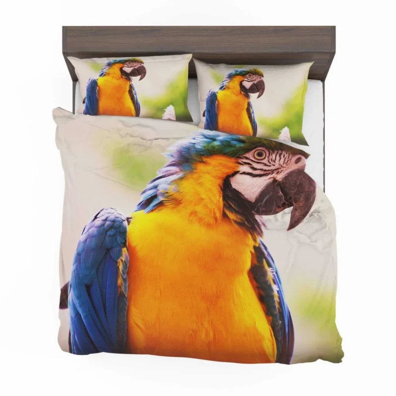 Friendly Parrot Playful Greeting Tropical Companion Bedding Set 1