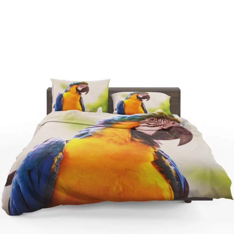 Friendly Parrot Playful Greeting Tropical Companion Bedding Set