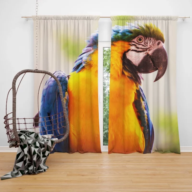 Friendly Parrot Playful Greeting Tropical Companion Curtain