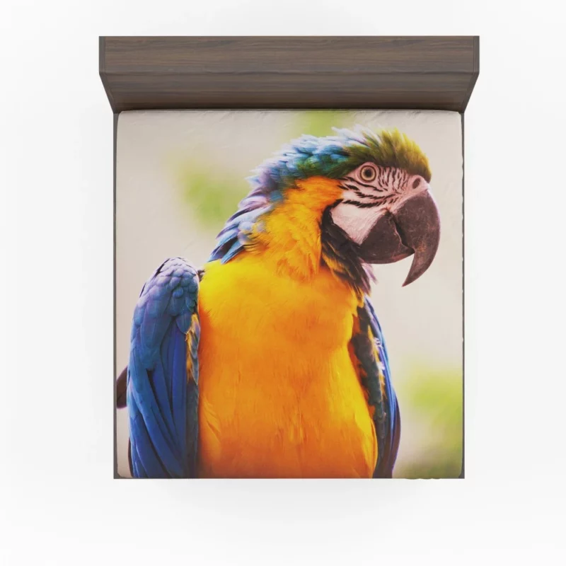 Friendly Parrot Playful Greeting Tropical Companion Fitted Sheet 1