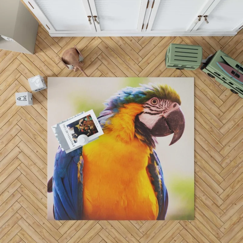 Friendly Parrot Playful Greeting Tropical Companion Rug