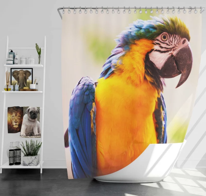 Friendly Parrot Playful Greeting Tropical Companion Shower Curtain