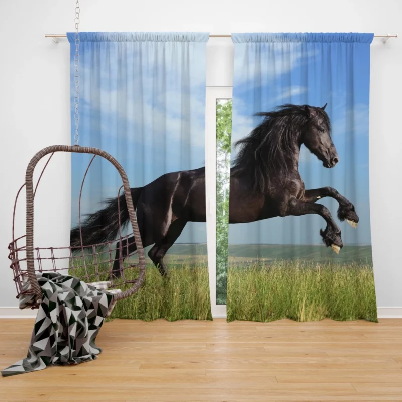 Friesian Horse Elegance in Motion Curtain