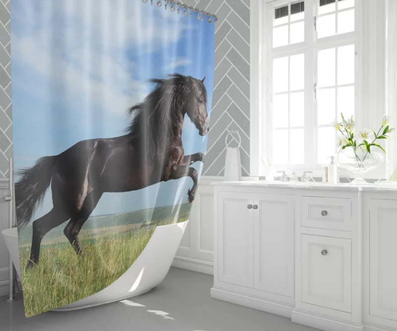 Friesian Horse Elegance in Motion Shower Curtain 1