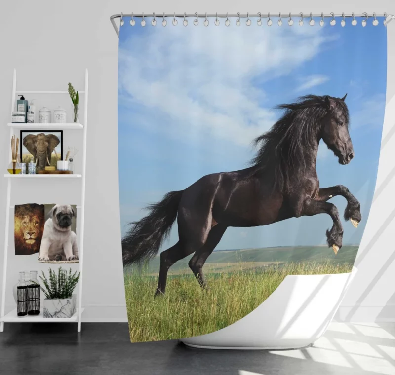 Friesian Horse Elegance in Motion Shower Curtain