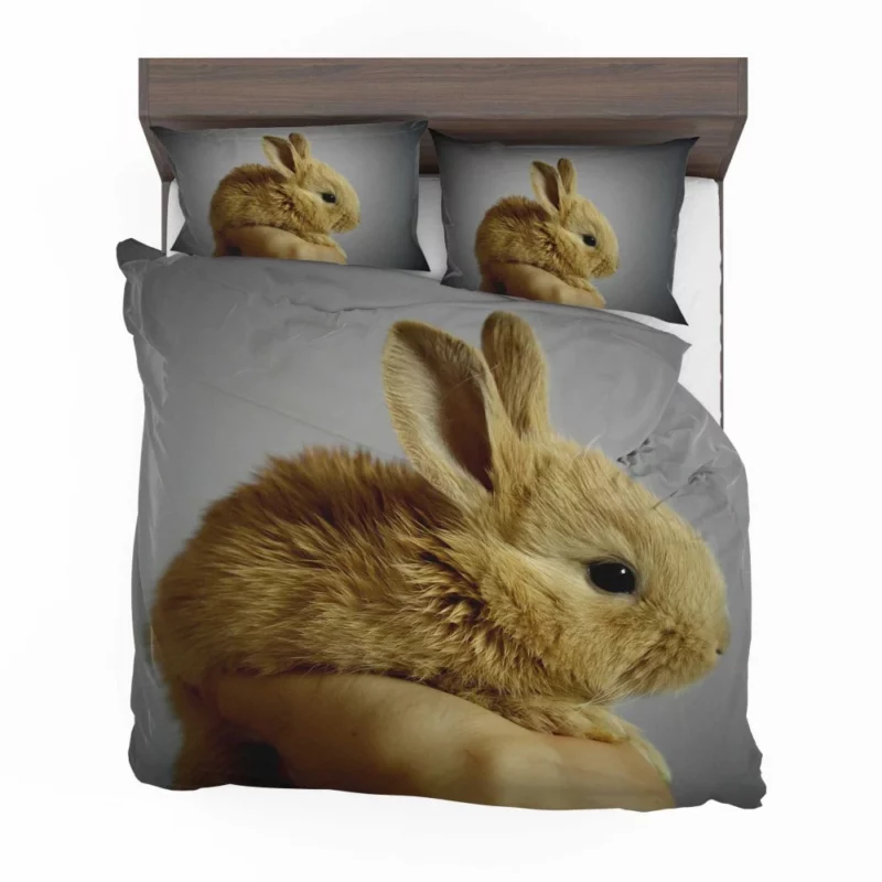 Furry Bunny Delightful Innocence Bedding Set 1