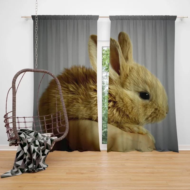 Furry Bunny Delightful Innocence Curtain