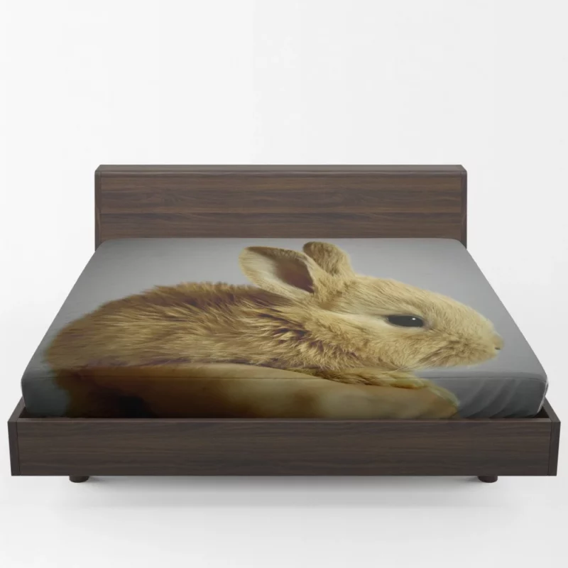 Furry Bunny Delightful Innocence Fitted Sheet