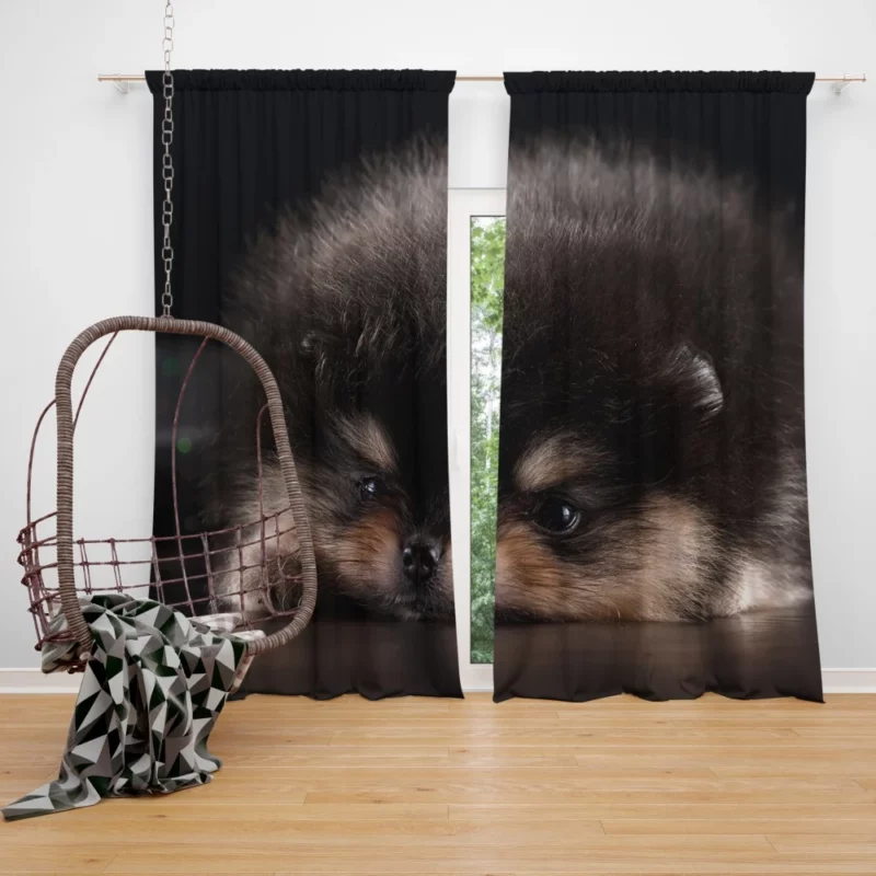 Furry Fur Ball Cuteness Baby Joy Curtain