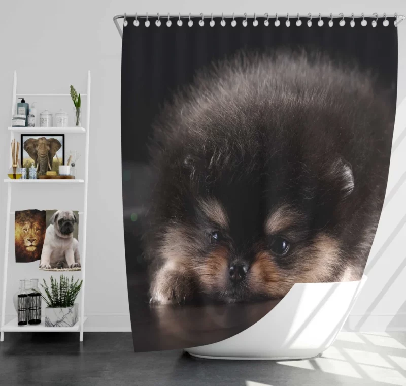 Furry Fur Ball Cuteness Baby Joy Shower Curtain