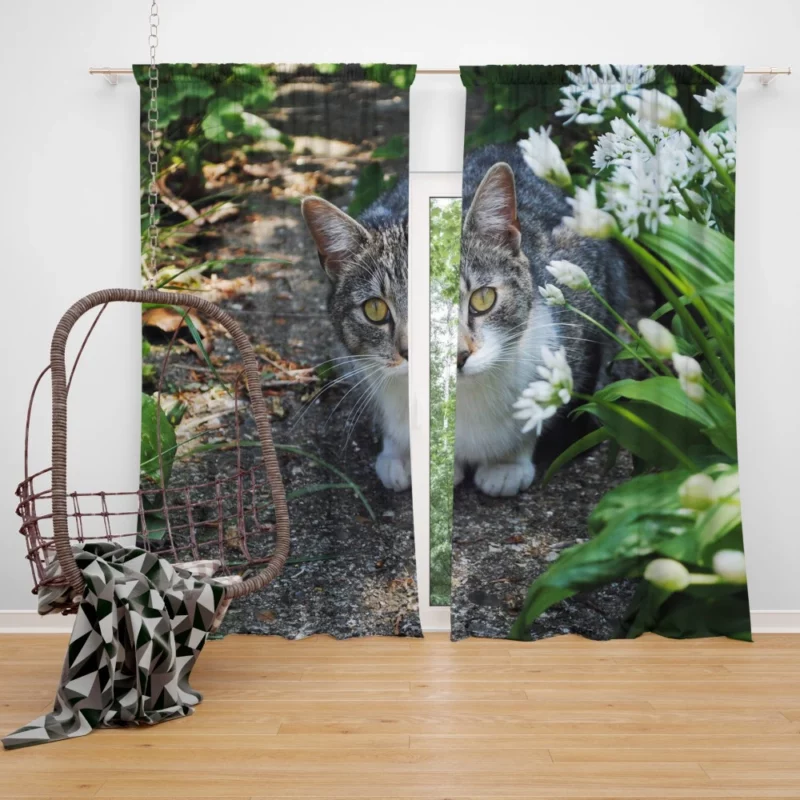 Garden Cat Serene Stare Natural Beauty Curtain