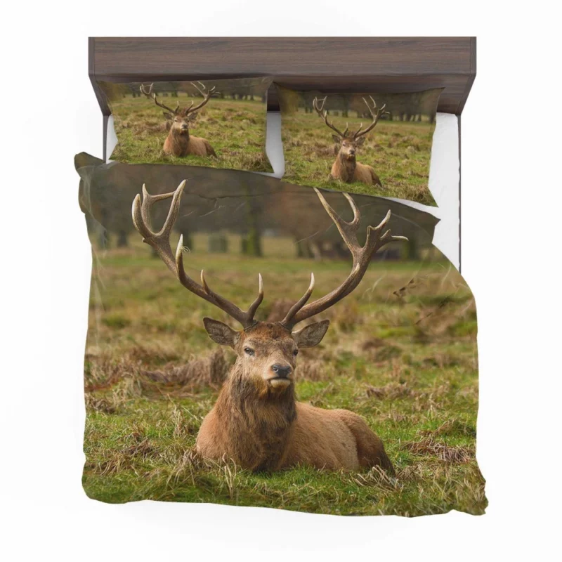 Gentle Deer Beauty Bedding Set 1