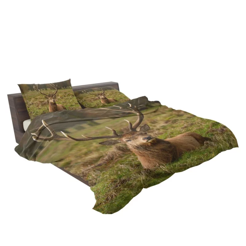 Gentle Deer Beauty Bedding Set 2