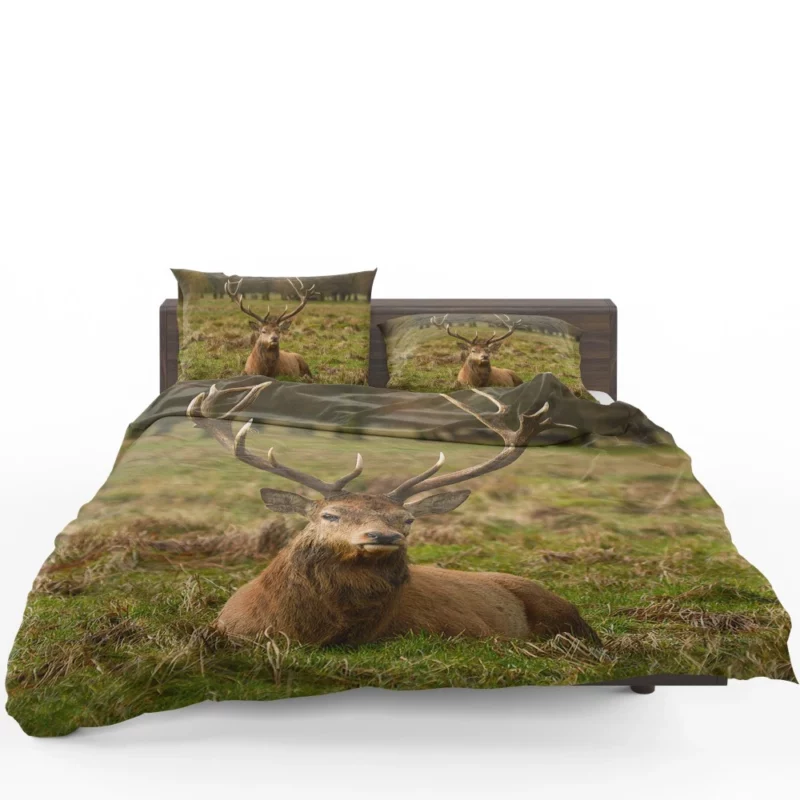 Gentle Deer Beauty Bedding Set