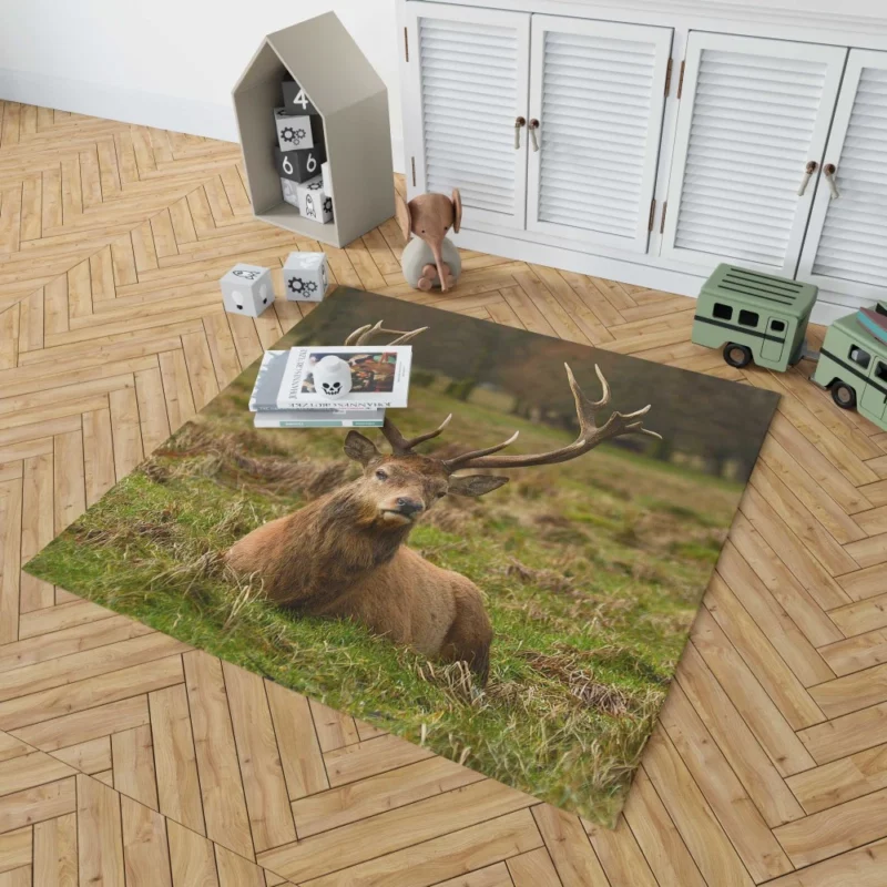 Gentle Deer Beauty Rug 1