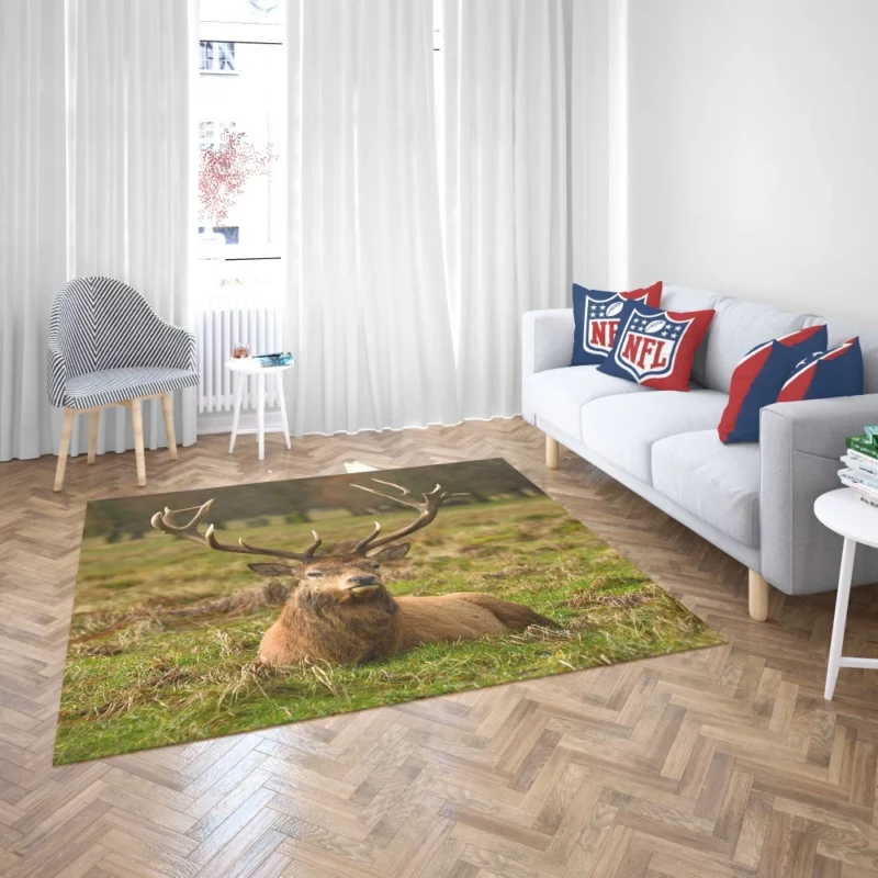 Gentle Deer Beauty Rug 2