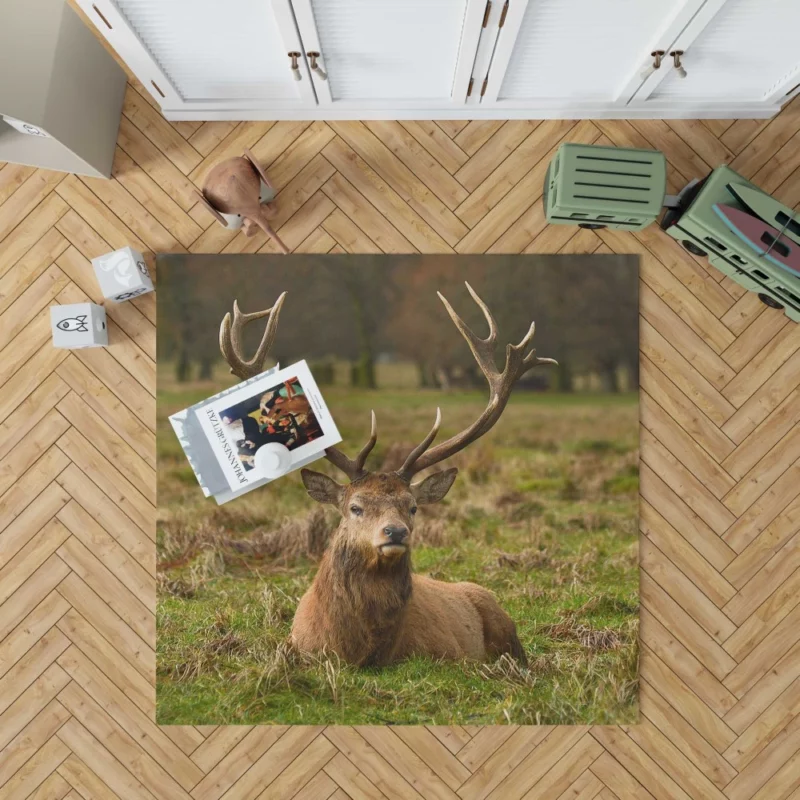 Gentle Deer Beauty Rug