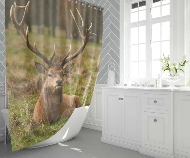 Gentle Deer Beauty Shower Curtain 1