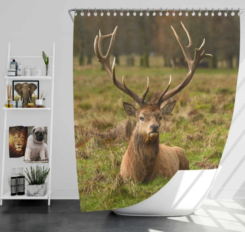 Gentle Deer Beauty Shower Curtain