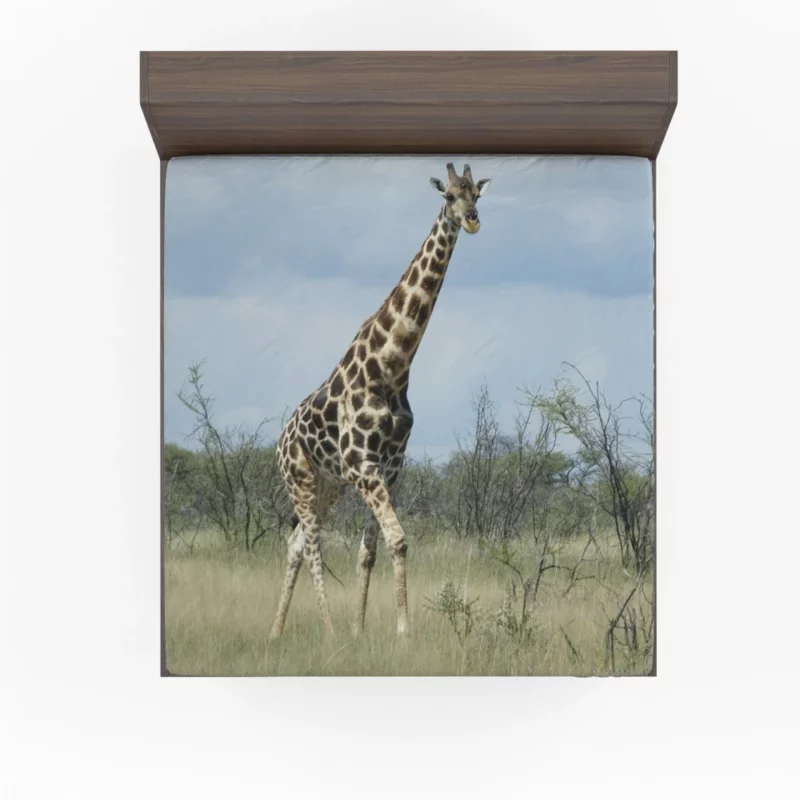 Gentle Giraffe Nature Towering Grace Fitted Sheet 1