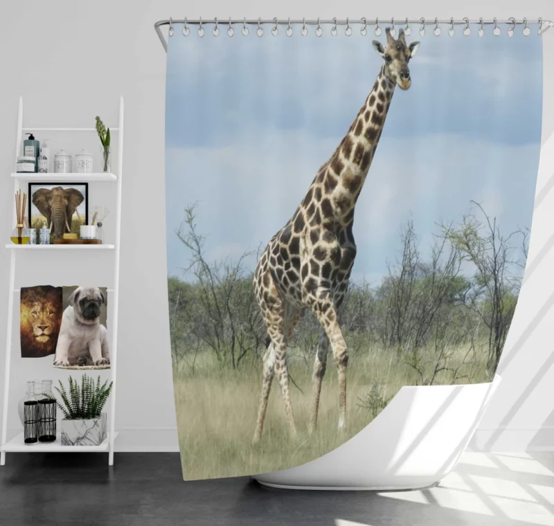 Gentle Giraffe Nature Towering Grace Shower Curtain