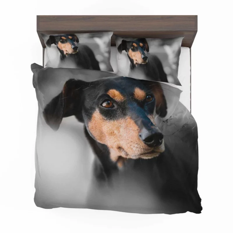 German Pinscher Muzzle in Blur Canine Curiosity Bedding Set 1