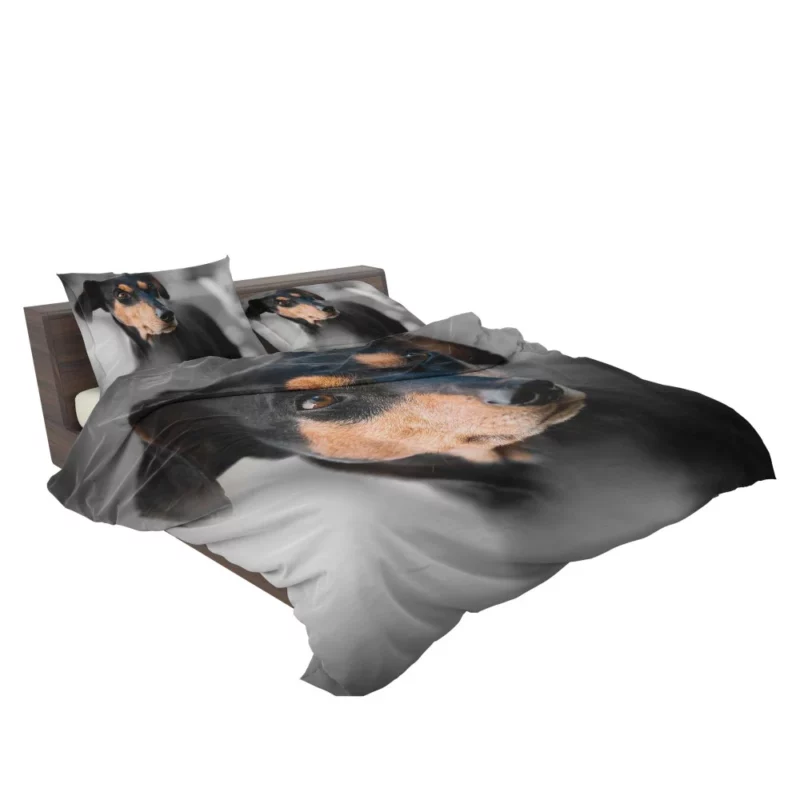 German Pinscher Muzzle in Blur Canine Curiosity Bedding Set 2