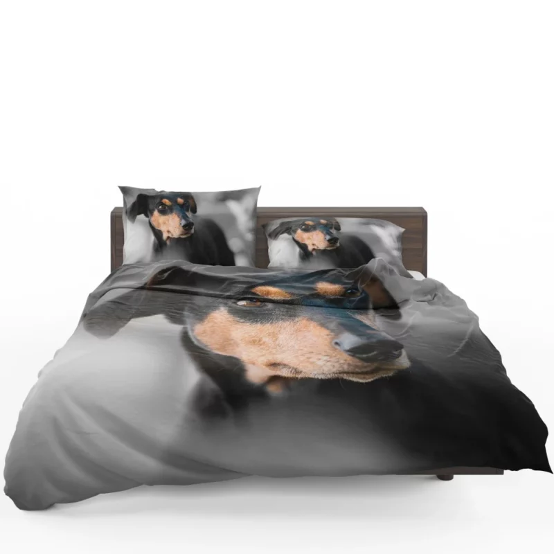 German Pinscher Muzzle in Blur Canine Curiosity Bedding Set