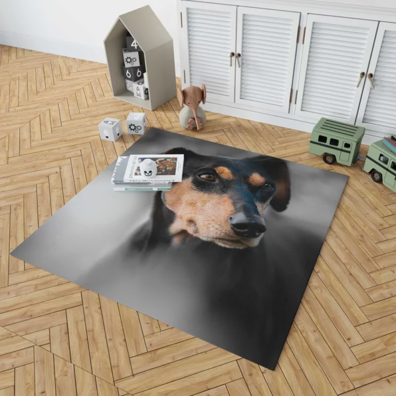 German Pinscher Muzzle in Blur Canine Curiosity Rug 1