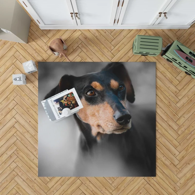 German Pinscher Muzzle in Blur Canine Curiosity Rug