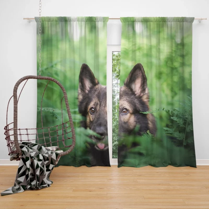 German Shepherd Amidst Ferns Canine Majesty Curtain