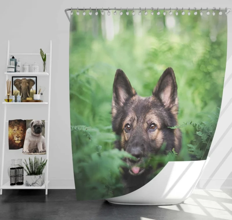 German Shepherd Amidst Ferns Canine Majesty Shower Curtain