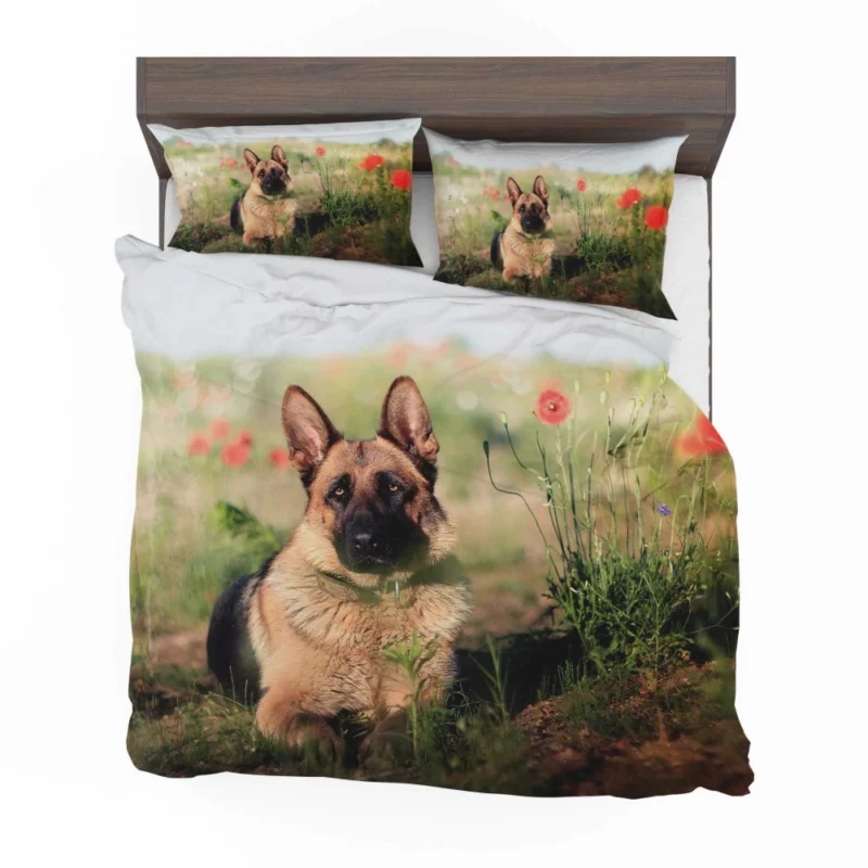 German Shepherd Amidst Poppies Summer Serenity Bedding Set 1