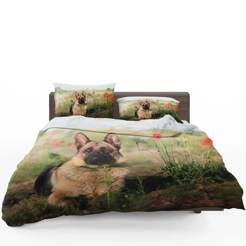 German Shepherd Amidst Poppies Summer Serenity Bedding Set