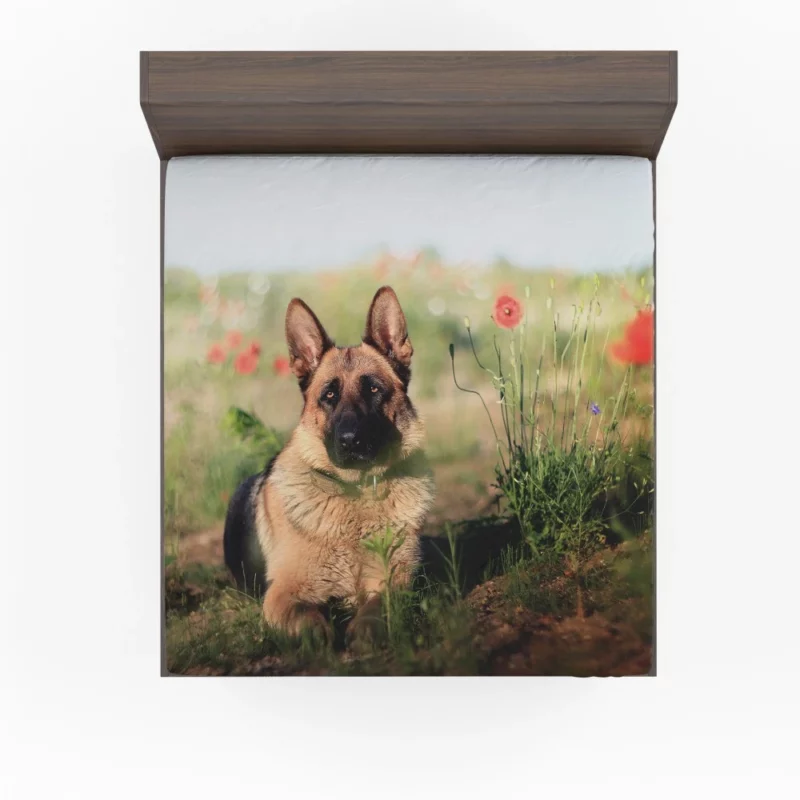 German Shepherd Amidst Poppies Summer Serenity Fitted Sheet 1