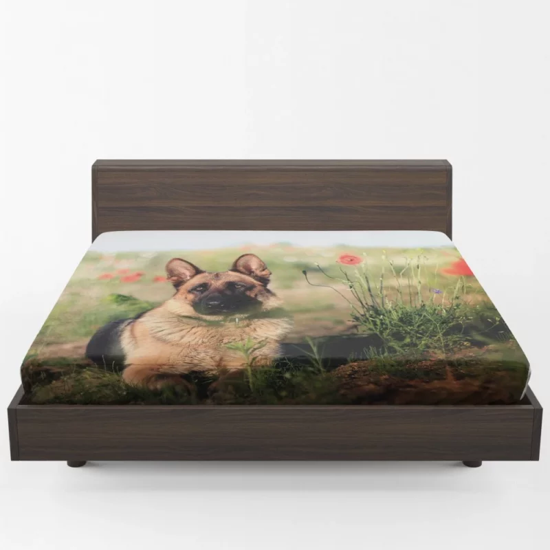 German Shepherd Amidst Poppies Summer Serenity Fitted Sheet