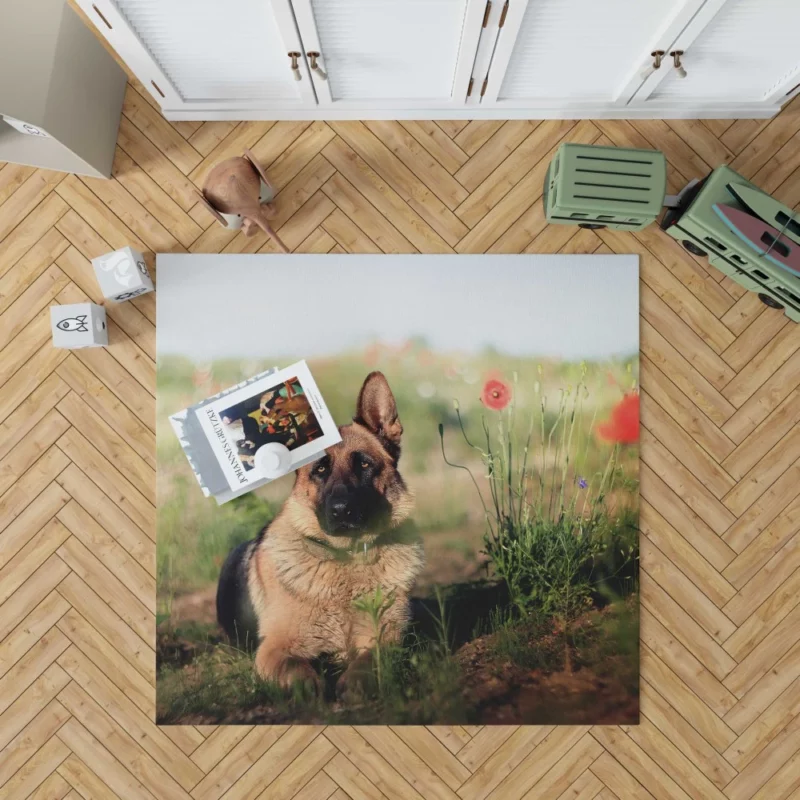 German Shepherd Amidst Poppies Summer Serenity Rug