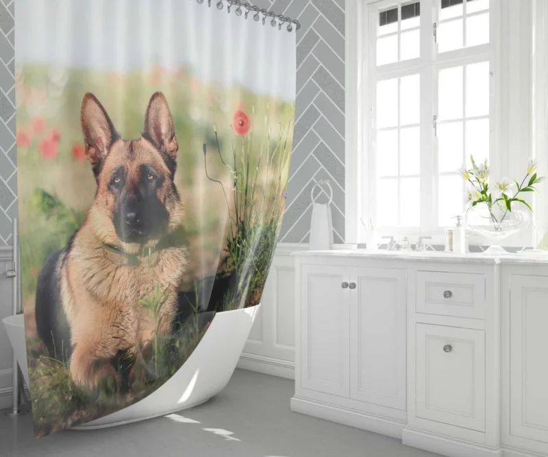 German Shepherd Amidst Poppies Summer Serenity Shower Curtain 1