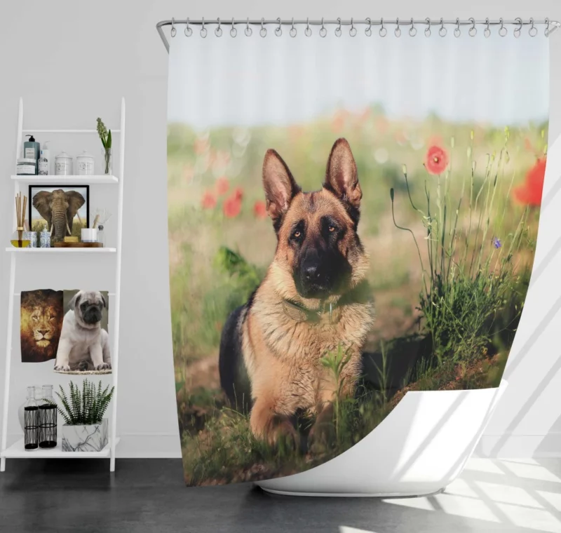 German Shepherd Amidst Poppies Summer Serenity Shower Curtain