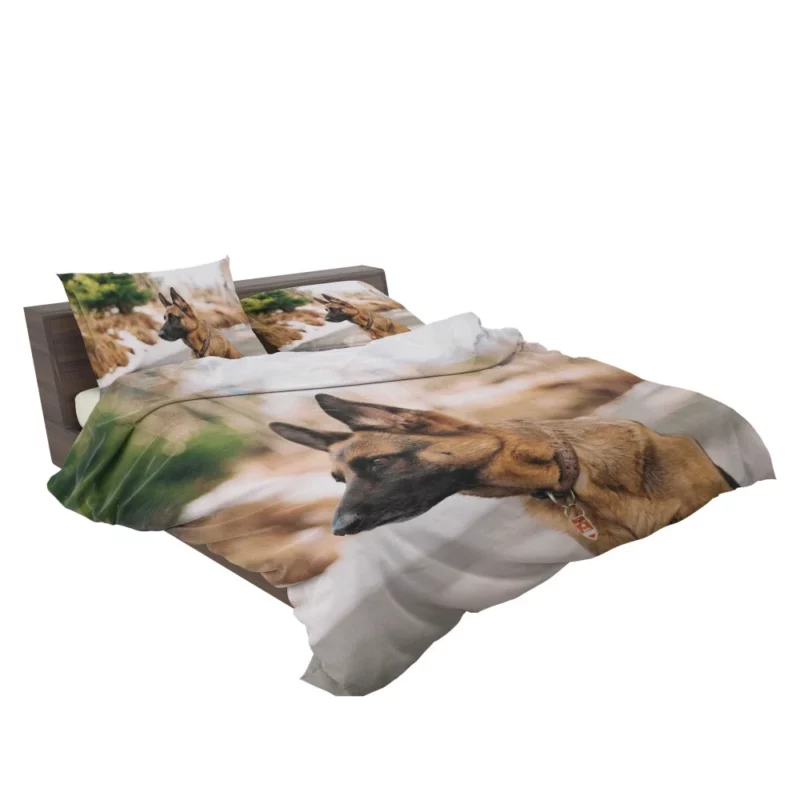 German Shepherd Autumn Stroll Bedding Set 2