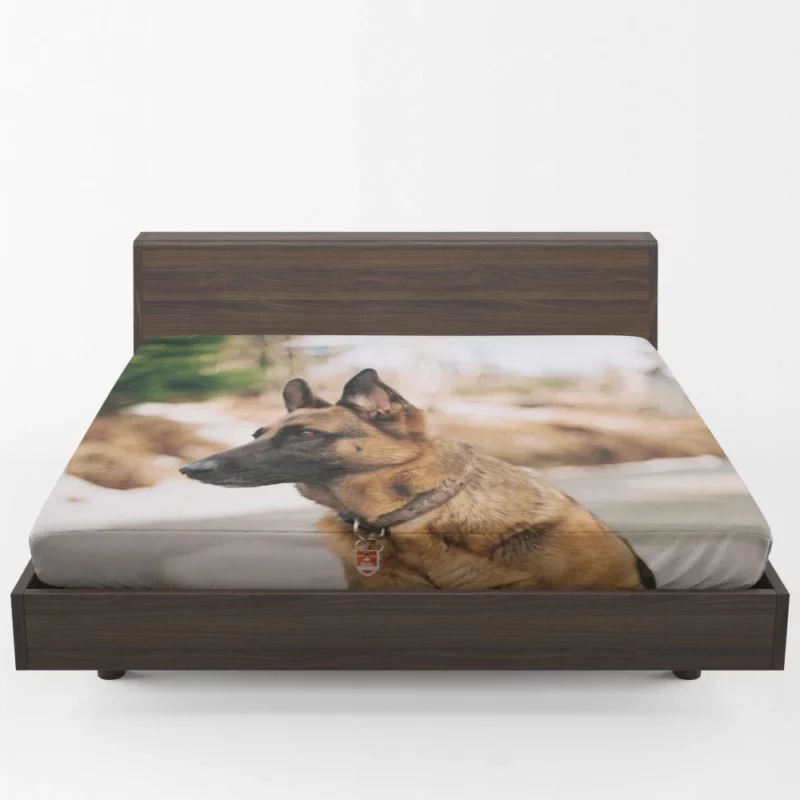 German Shepherd Autumn Stroll Fitted Sheet