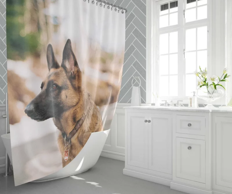 German Shepherd Autumn Stroll Shower Curtain 1