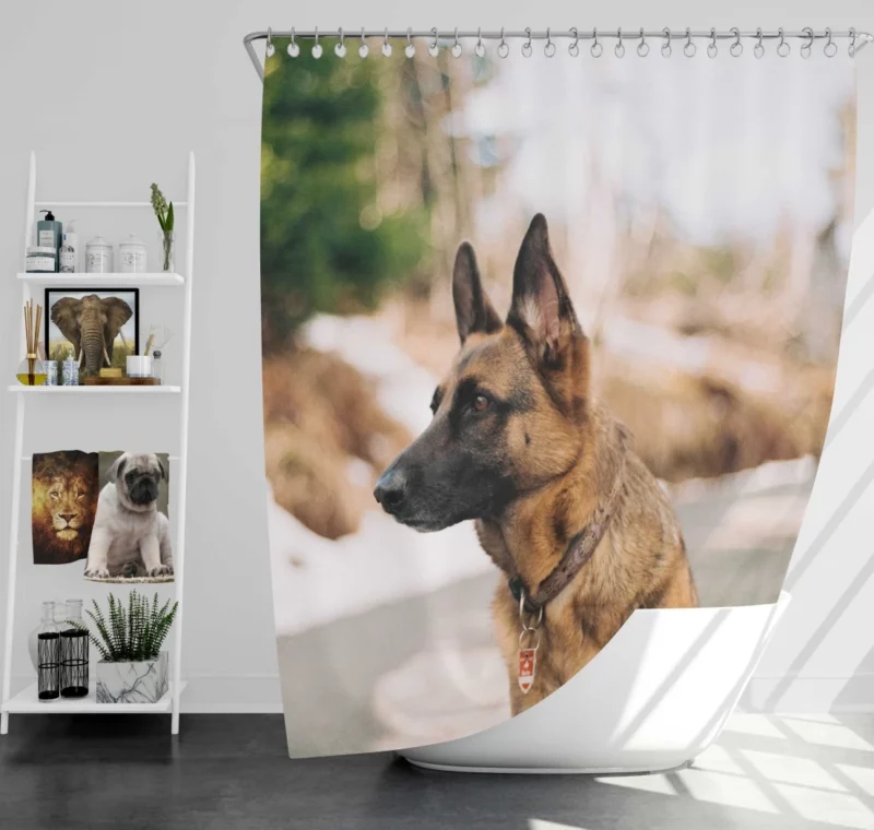 German Shepherd Autumn Stroll Shower Curtain