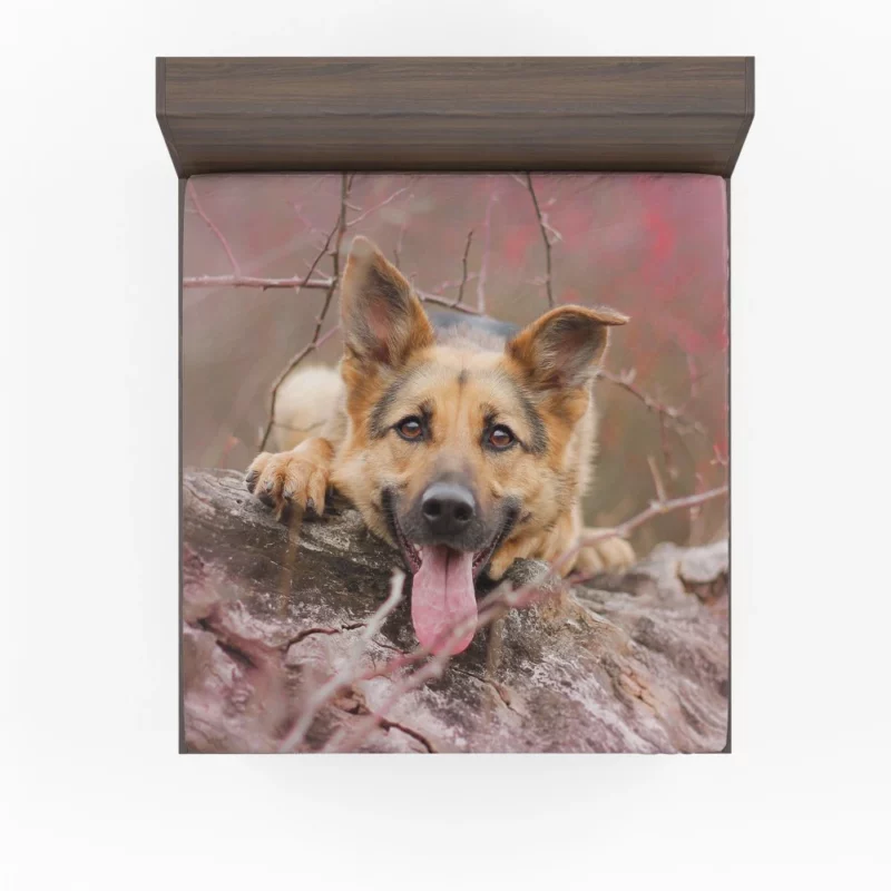 German Shepherd Beauty Fitted Sheet 1