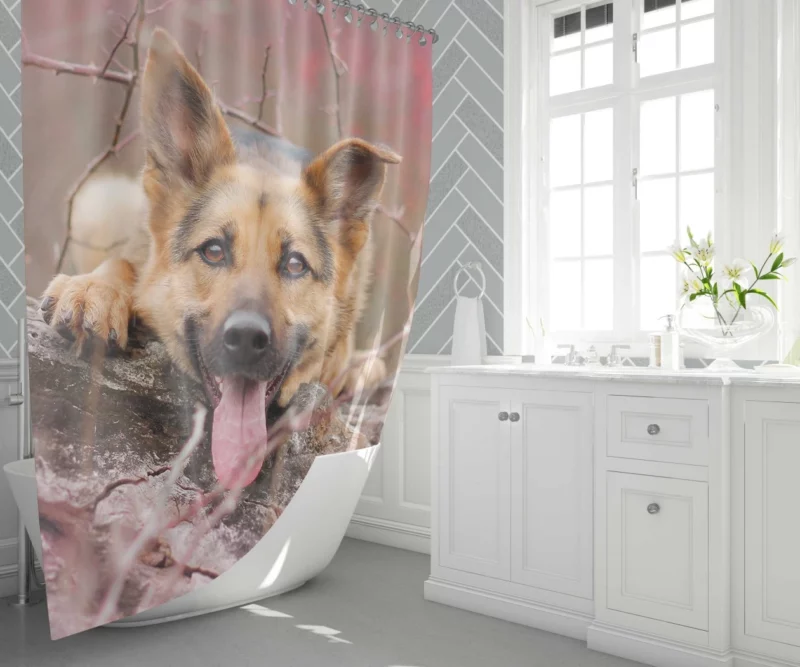 German Shepherd Beauty Shower Curtain 1