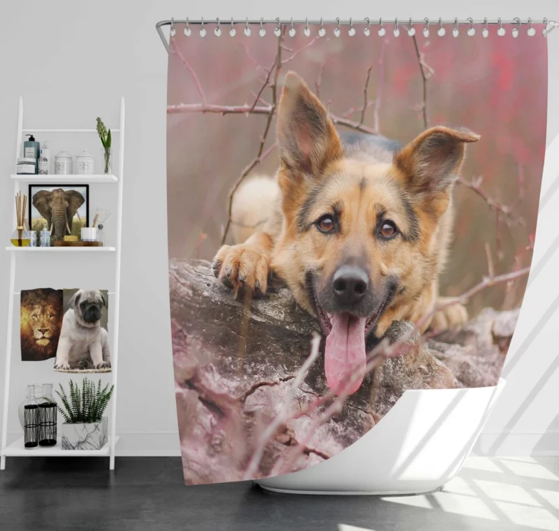 German Shepherd Beauty Shower Curtain