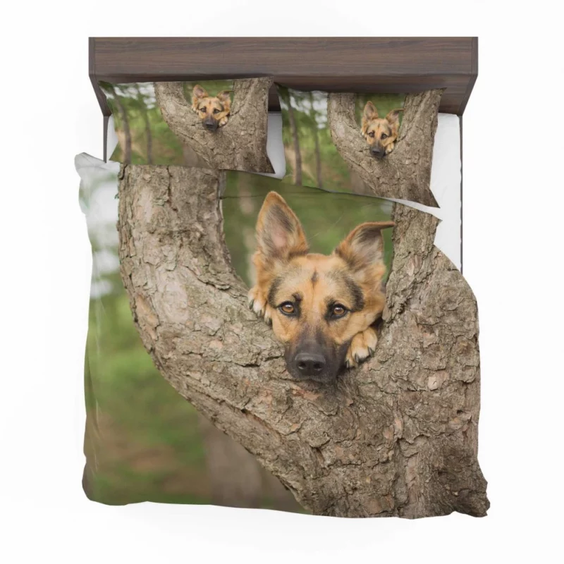 German Shepherd Bokeh Gaze Furry Beauty Bedding Set 1